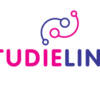 Studielink - Hollanda'da Bir Üniversiteye Nasıl Başvurulur?